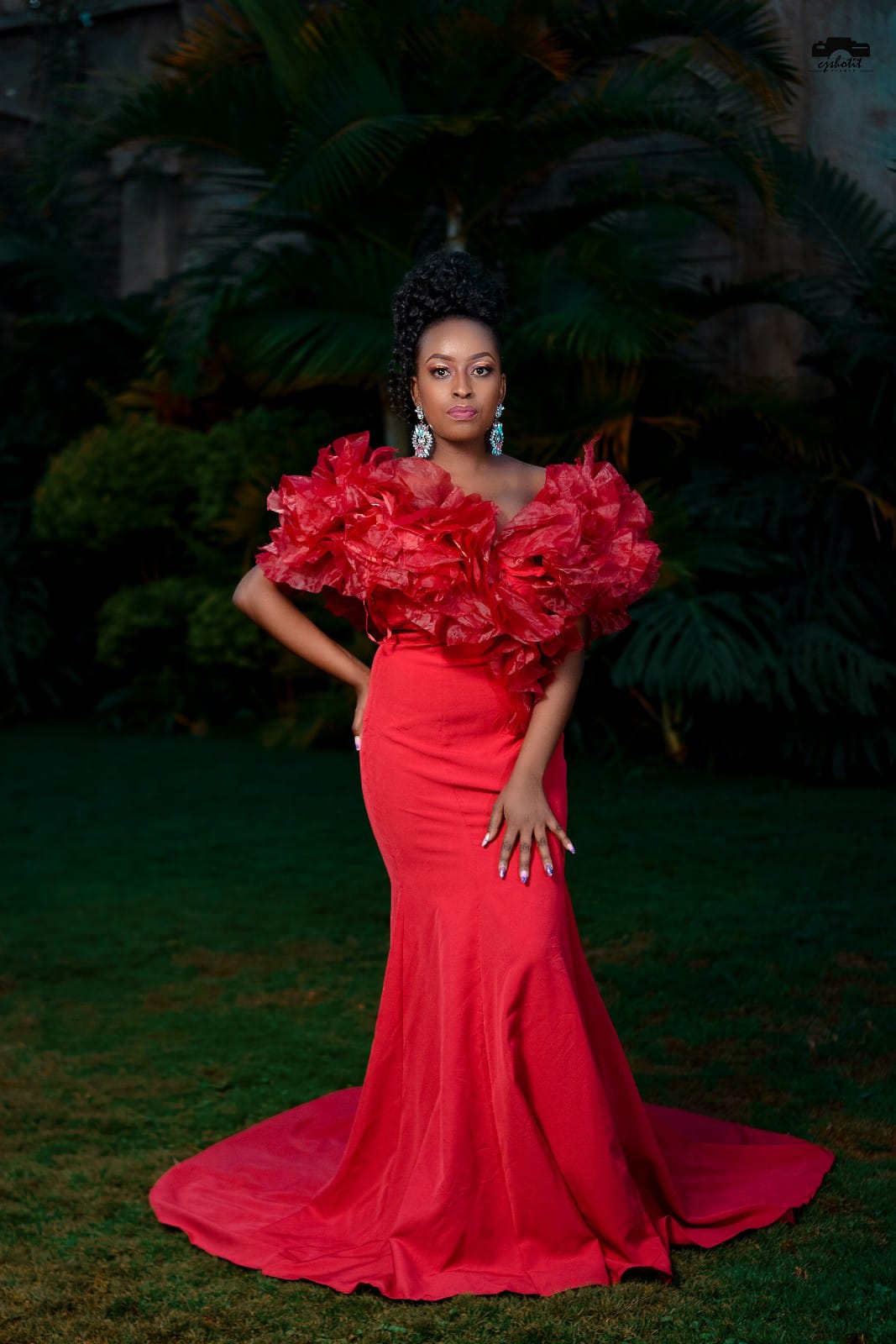 Roja view 5